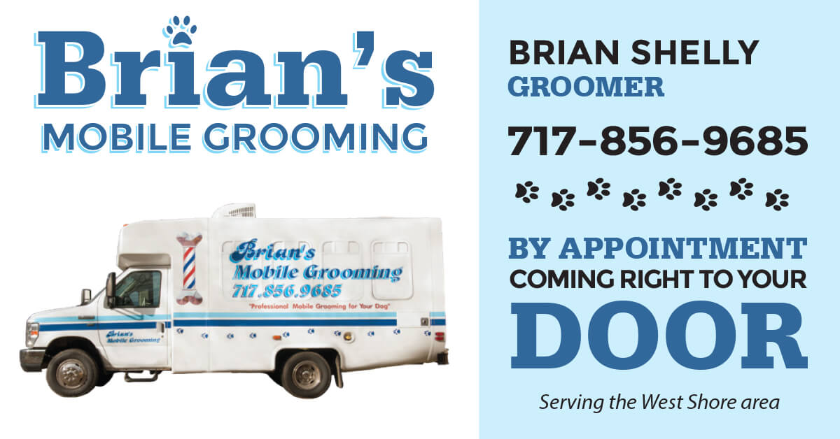 Dog Grooming By Brian